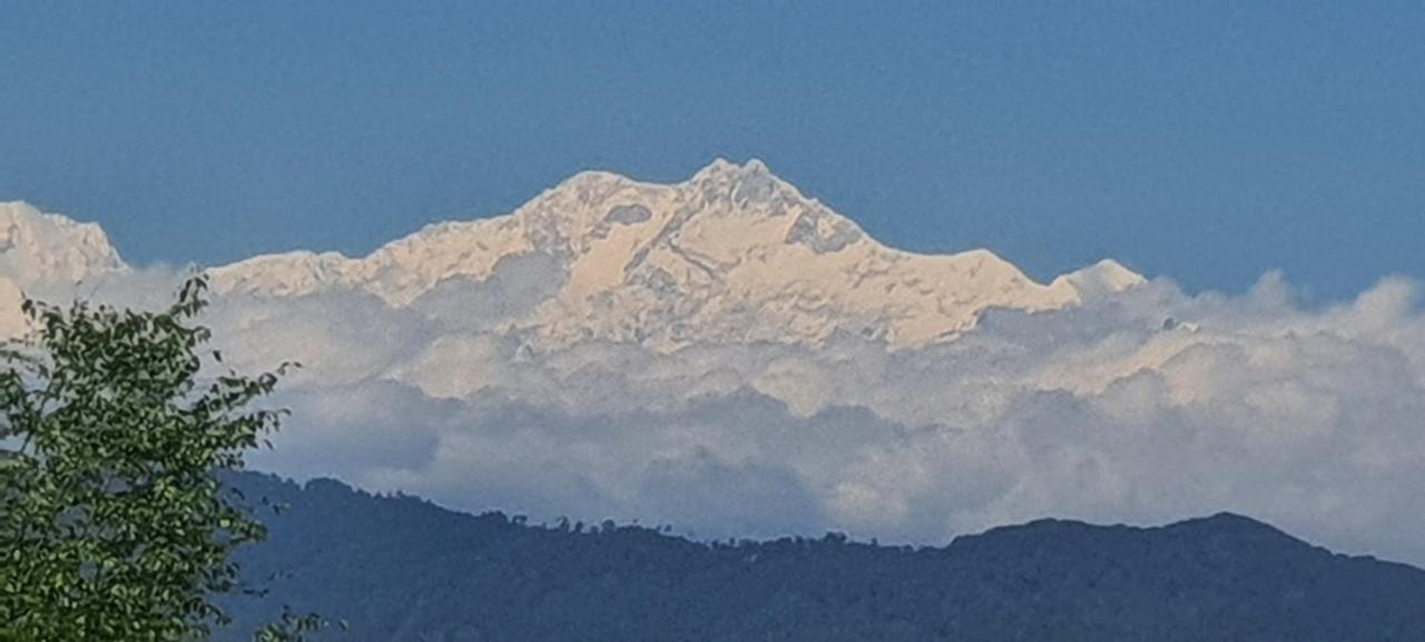 New Bloom Homestay Kurseong Eksteriør bilde