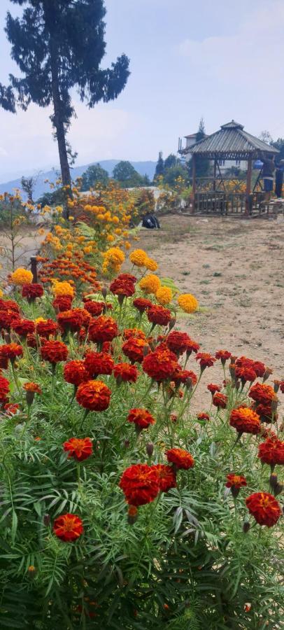New Bloom Homestay Kurseong Eksteriør bilde