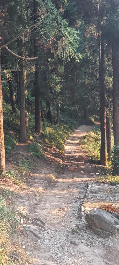 New Bloom Homestay Kurseong Eksteriør bilde