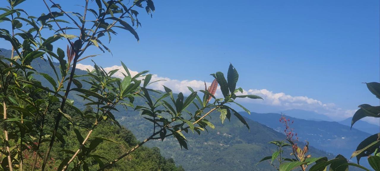 New Bloom Homestay Kurseong Eksteriør bilde
